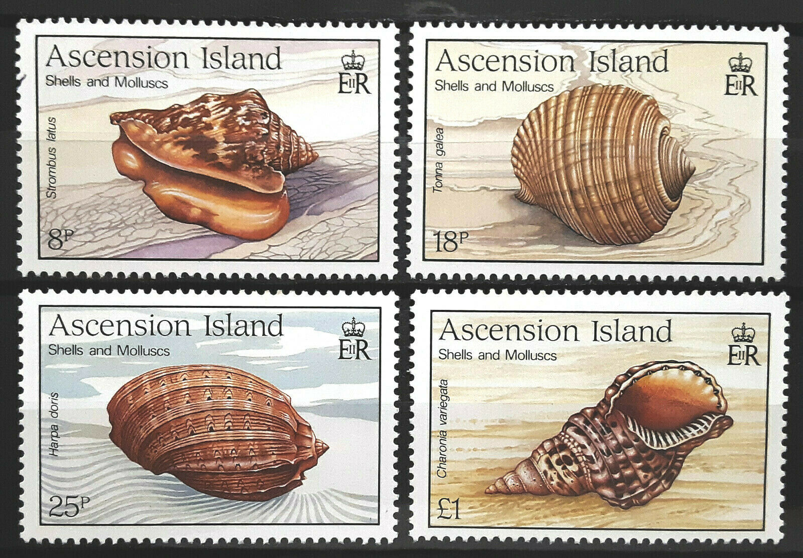 Ascension Stamp 1989 Shells And Mollusks Scott # 476-479 Sg506-509 Mint Nh
